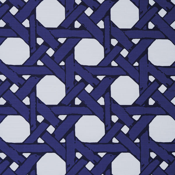 Cane Back Fabric