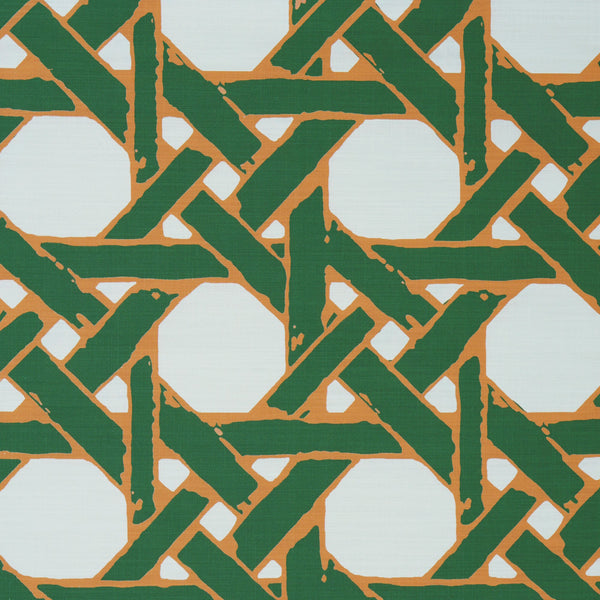 Cane Back Fabric