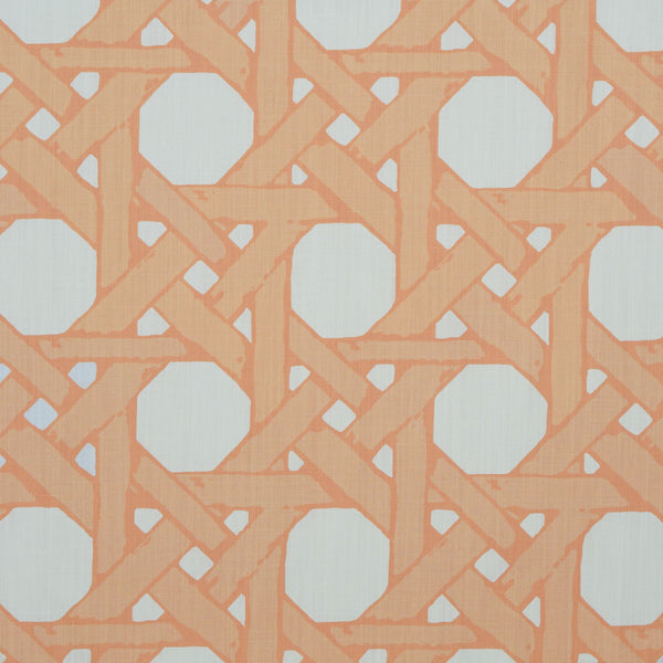Cane Back Fabric