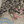 Tigers of Tibet Rug Closeup