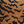 Bengal Rug