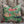 Bara Bazaar Pillow