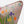 Guermantes Pillow
