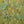 Harvest Garden Fabric