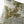 Maison Veranda Pillow