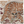 Tigers of Tibet Fabric