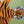 Load image into Gallery viewer, Tigris Lumbar in Avocado Closeup
